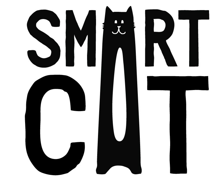 Smart Cat