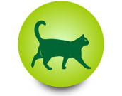 Товары для кошек от интернет-зоомагазина Zoo-Secret
