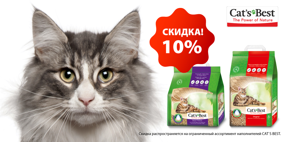 cats best cats best