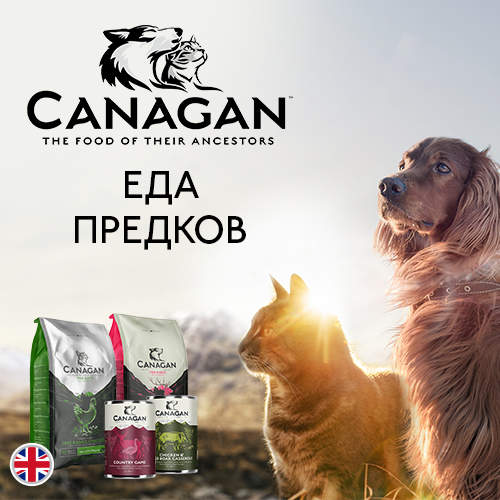 Canagan Canagan