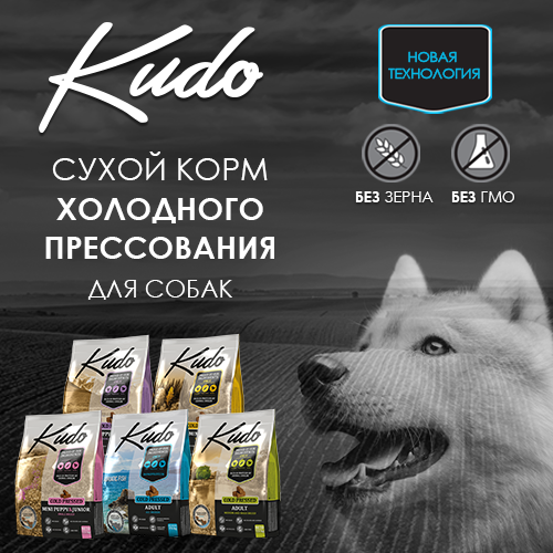 Kudo Kudo