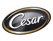 Cesar (Mars)