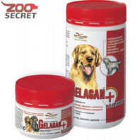 Гелакан Дарлинг от интернет-зоомагазина Zoo-Secret