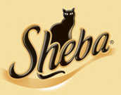 Sheba (Mars)