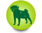 Товары для собак от интернет-зоомагазина Zoo-Secret